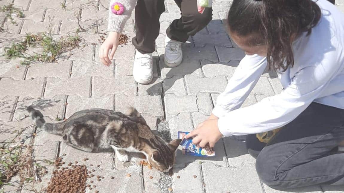 Yardımlaşmaya Dikkat Çekmek Amacıyla Hayvanları Besledik